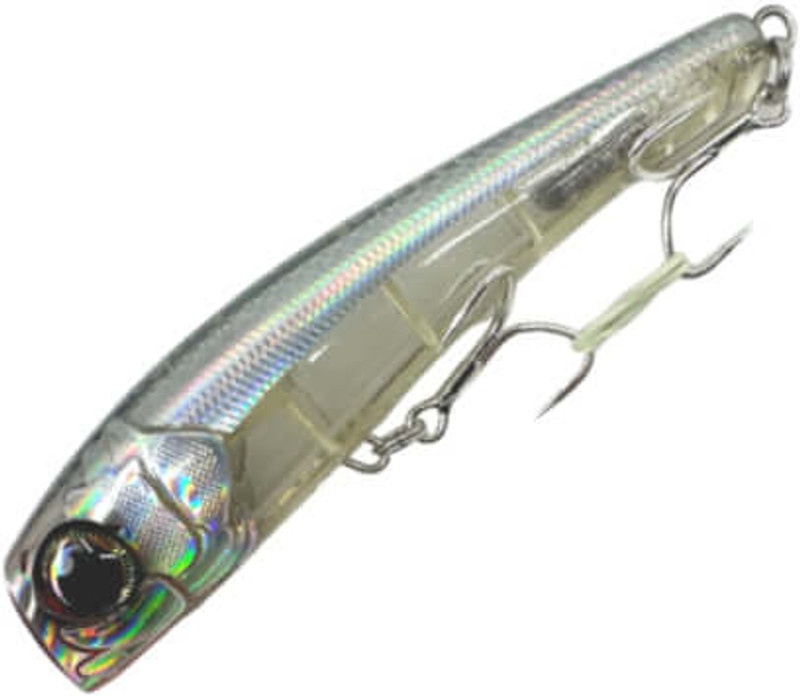 GHOST ANCHOVY