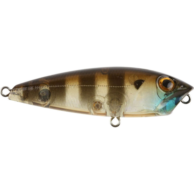 GHOST GILL BROWN