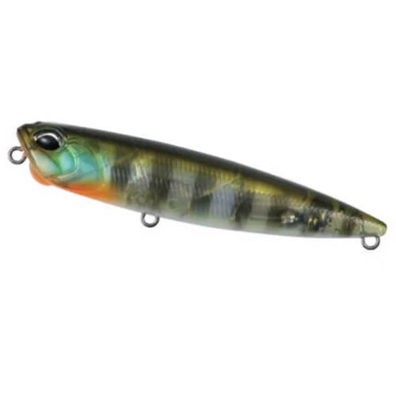 GHOST GILL
