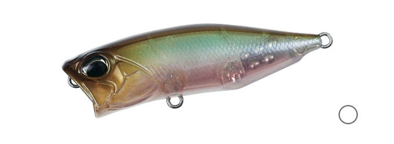 GHOST MINNOW