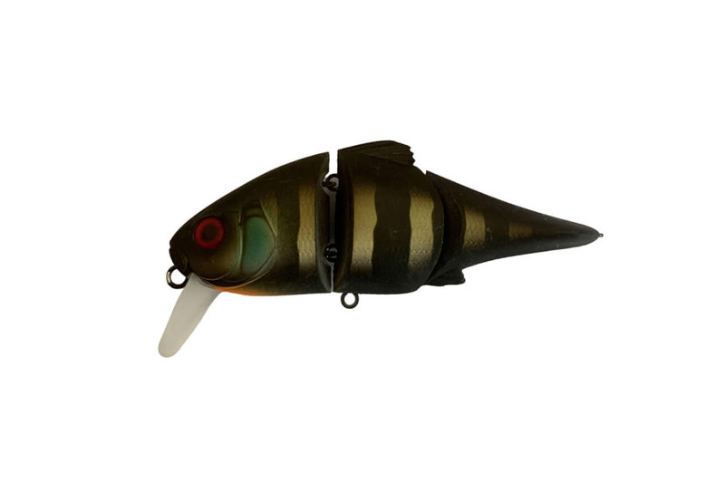 BLACK KING GILL