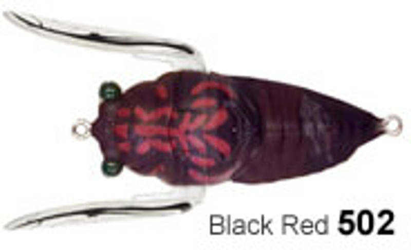 BLACK/RED