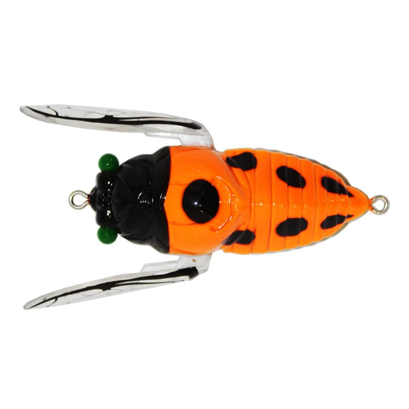 LADY BEETLE