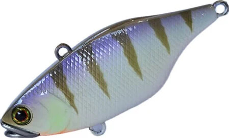 PURPLE GILL