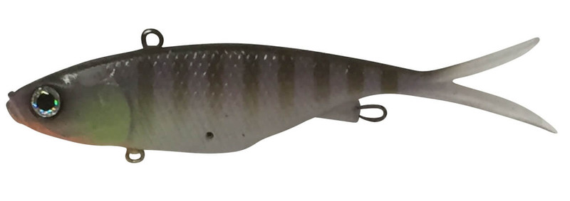 PURPLE GILL