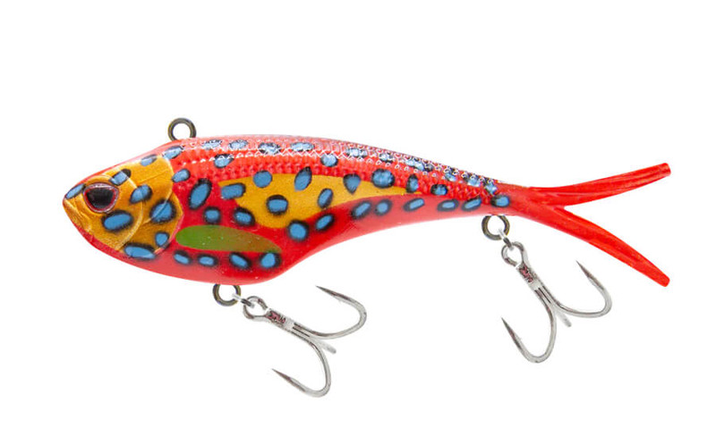 CORAL TROUT