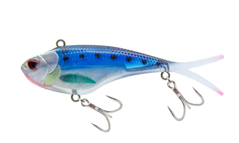 SARDINE