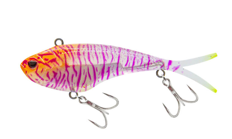 HOLO PURPLE SHRIMP