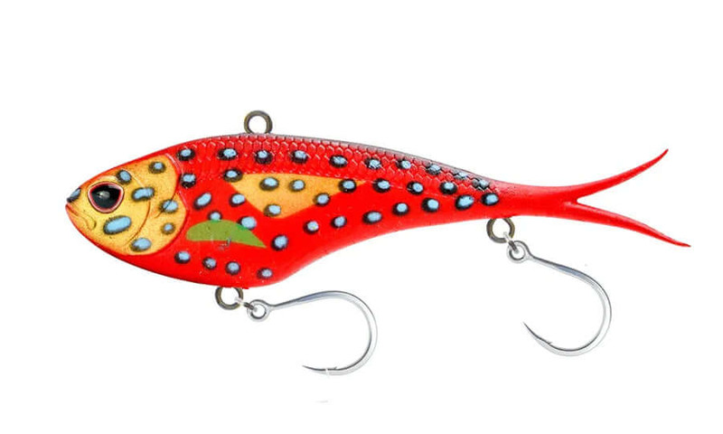 CORAL TROUT
