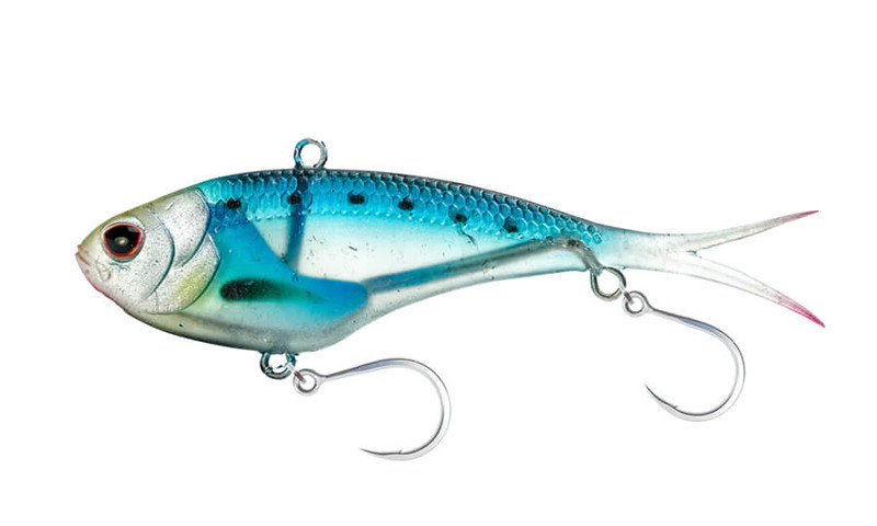 SARDINE