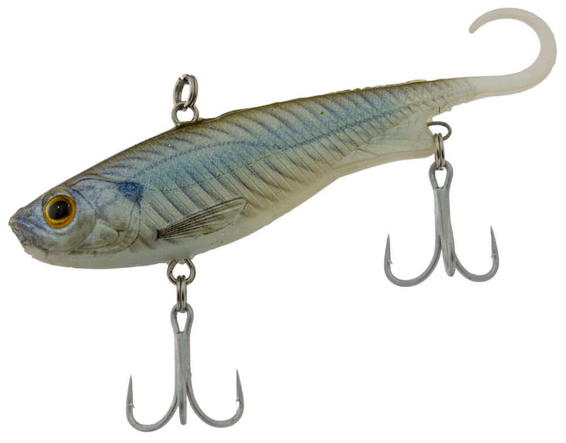 SILVER WHITING