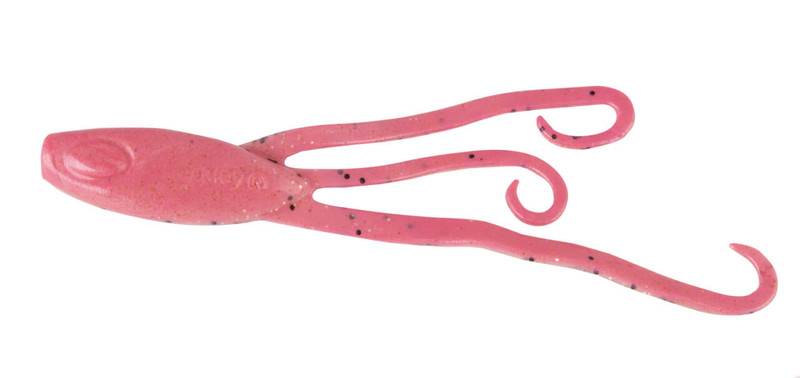 PINK BELLY SHRIMP