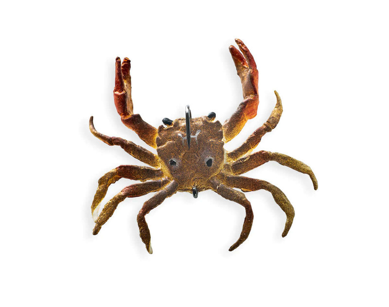 SANDCRAB