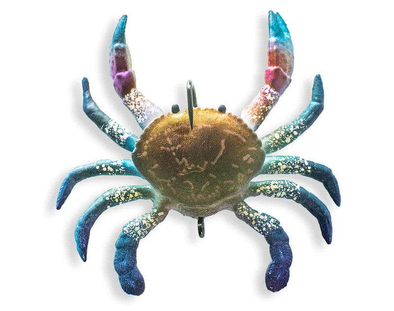 BLUE SWIMMER