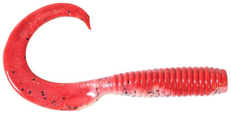 RED BELLY SHRIMP