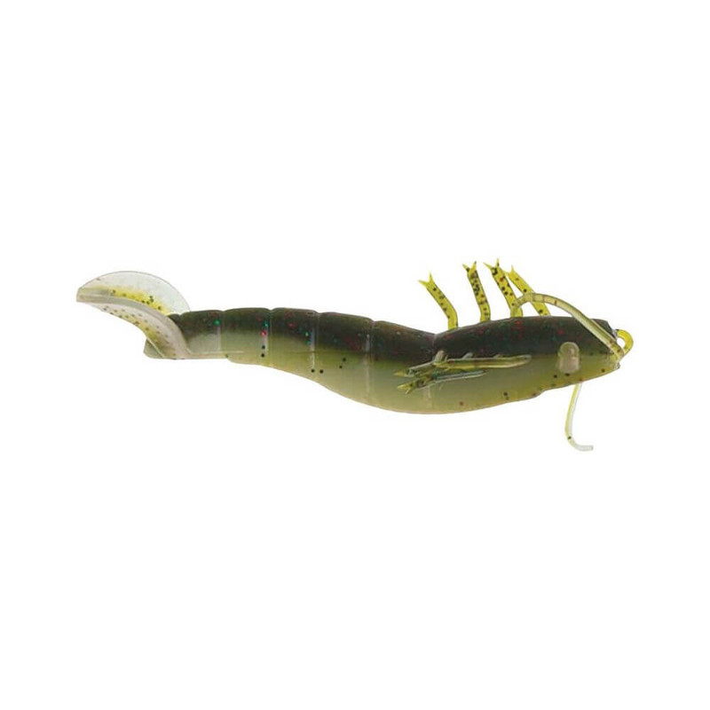 RAINBOW BASS