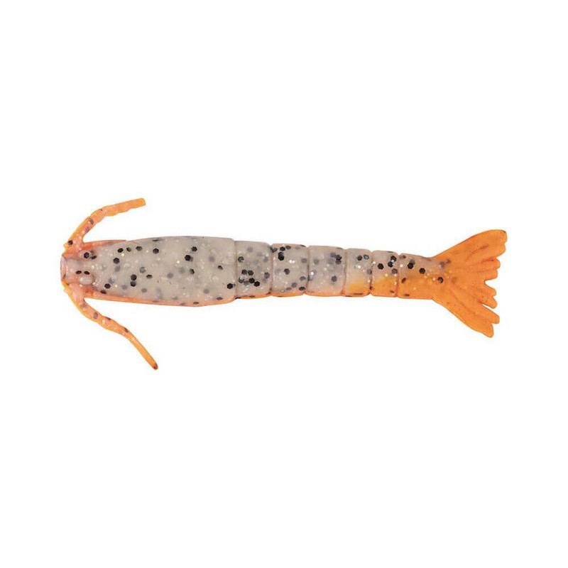 ORANGE BELLY SHRIMP
