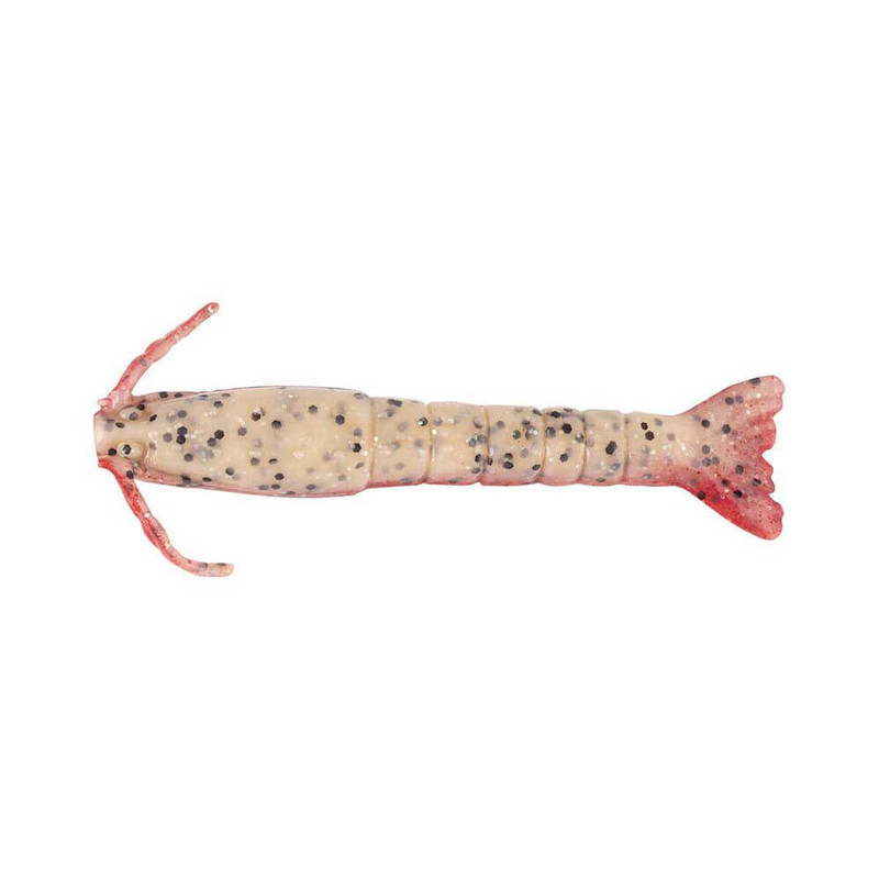 RED BELLY SHRIMP