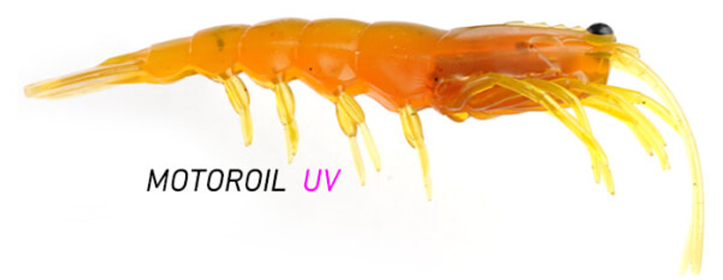 MOTOR OIL