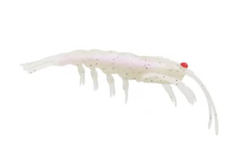 RAW PRAWN