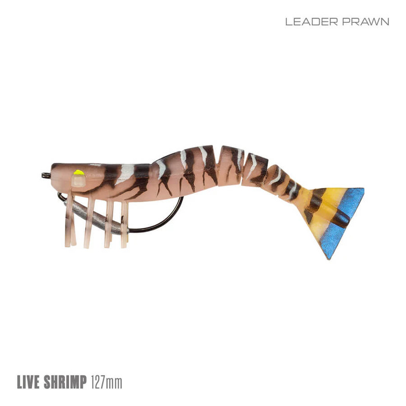 LEADER PRAWN