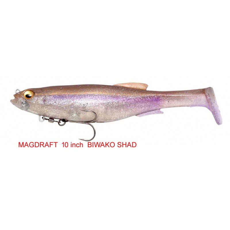 BIWAKO SHAD