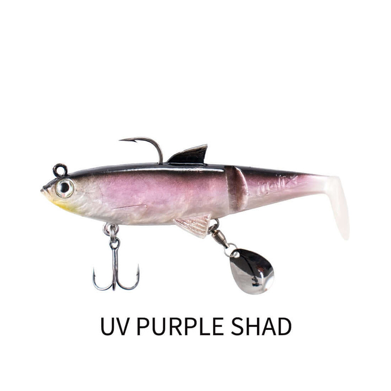 BLUE BACK HERRING