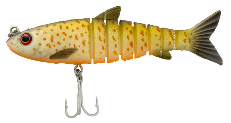ORANGE BELLY TROUT