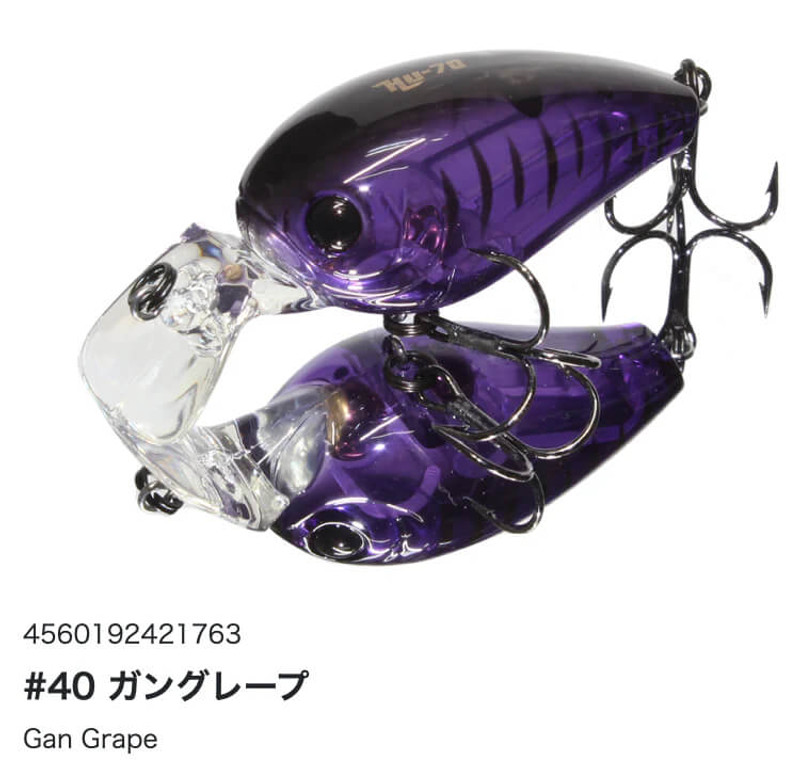 GAN GRAPE
