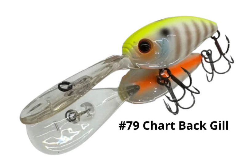 CHART BACK GILL 