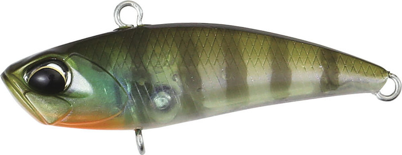 GHOST GILL