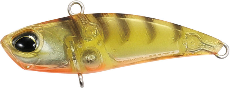 GOLD SHRIMP OB