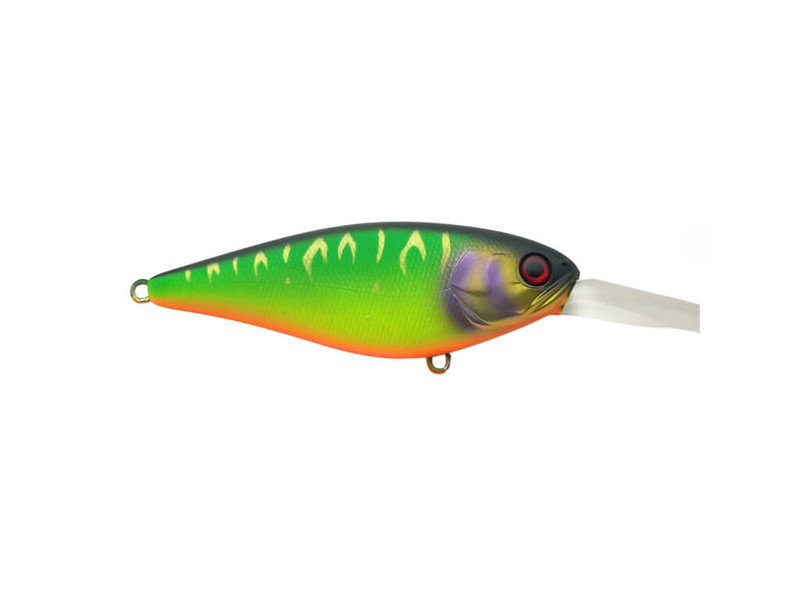 GULF SHAD