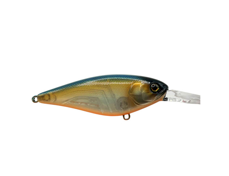SARDINE