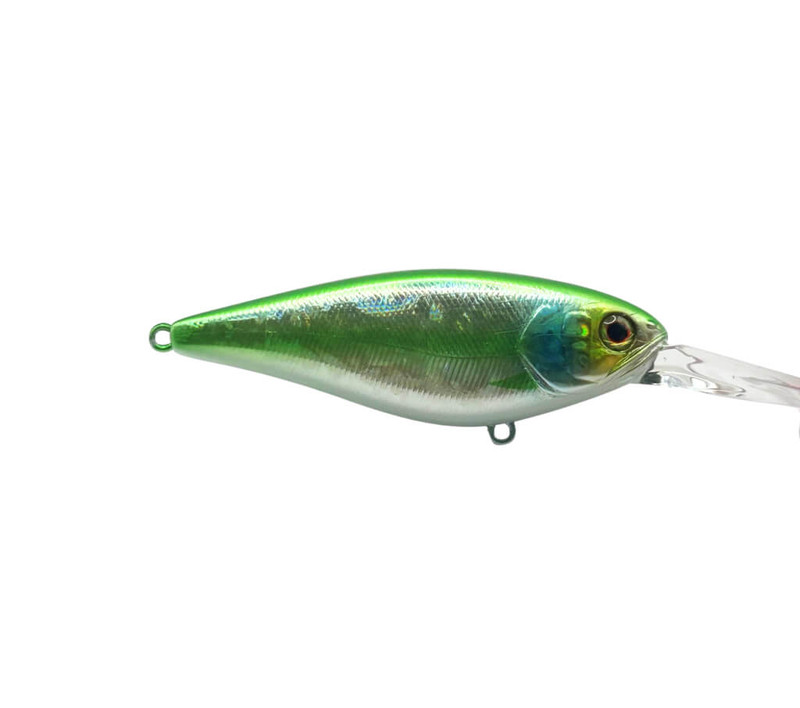 ELECTRIC BLUEGILL