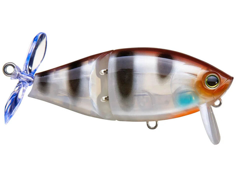 BLUEGILL