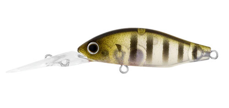 GHOST PERCH