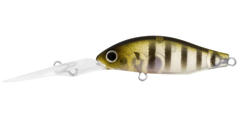 GHOST PERCH