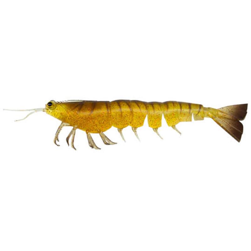 COCKROACH
