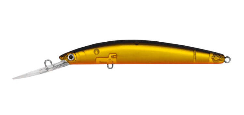LAZER PERCH