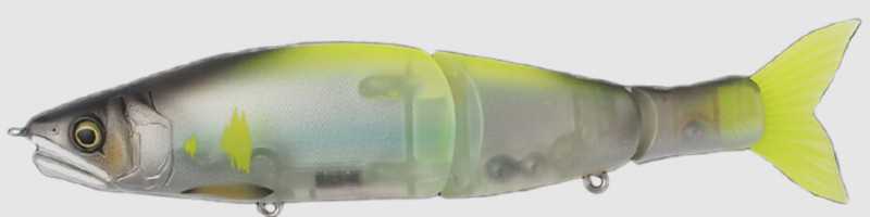 #24 CB FLASHING GHOST