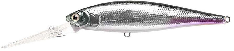 MS ANCHOVY