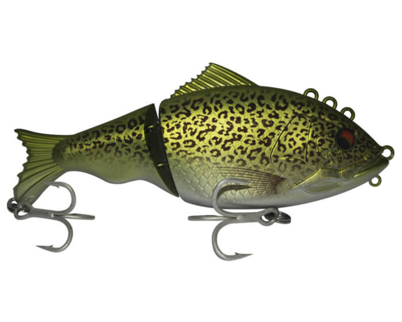 MURRAY COD