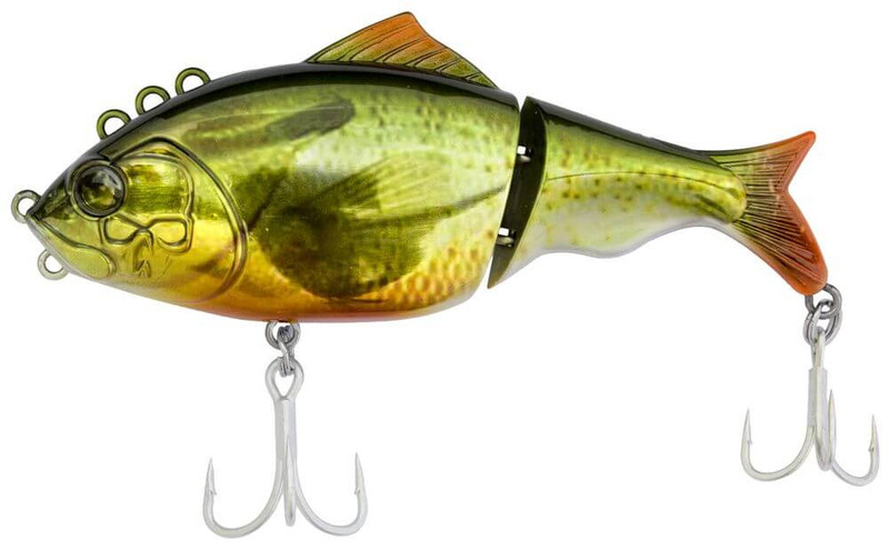 RED BREASTED SUNFISH