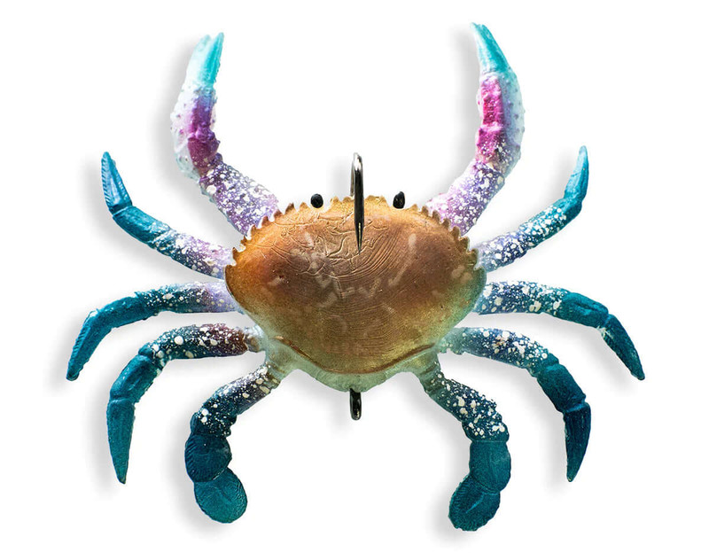 BLUE SWIMMER