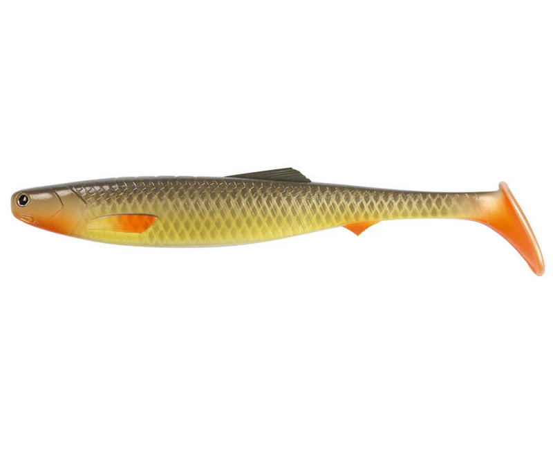 CARP