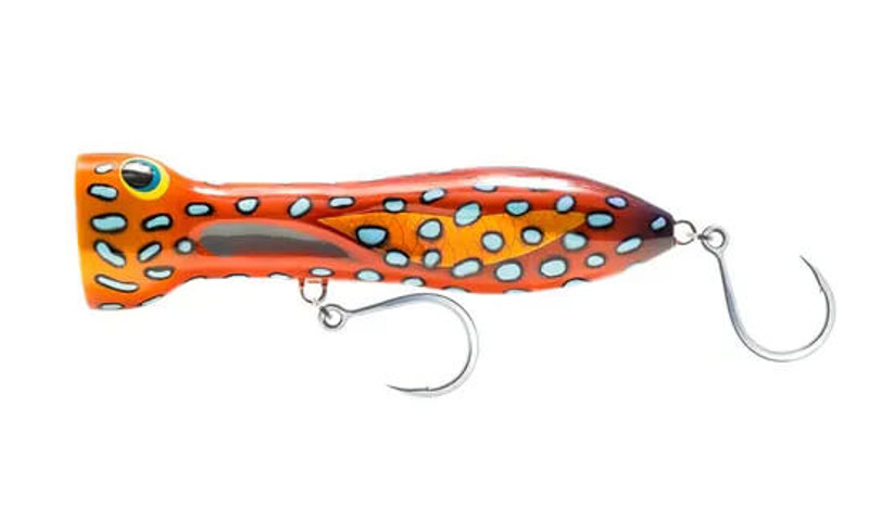 CORAL TROUT