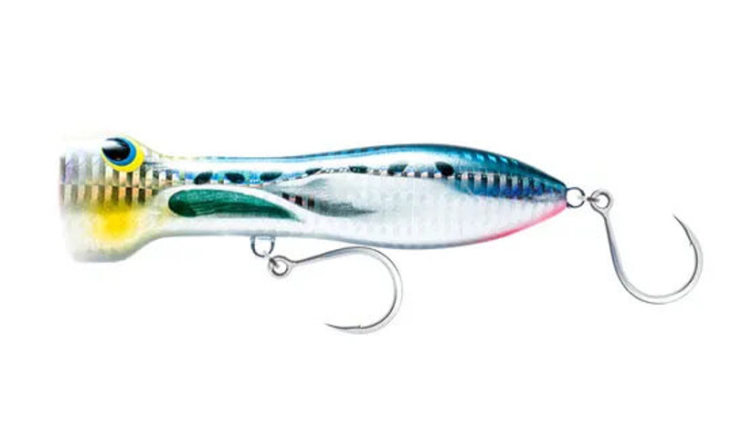 SARDINE