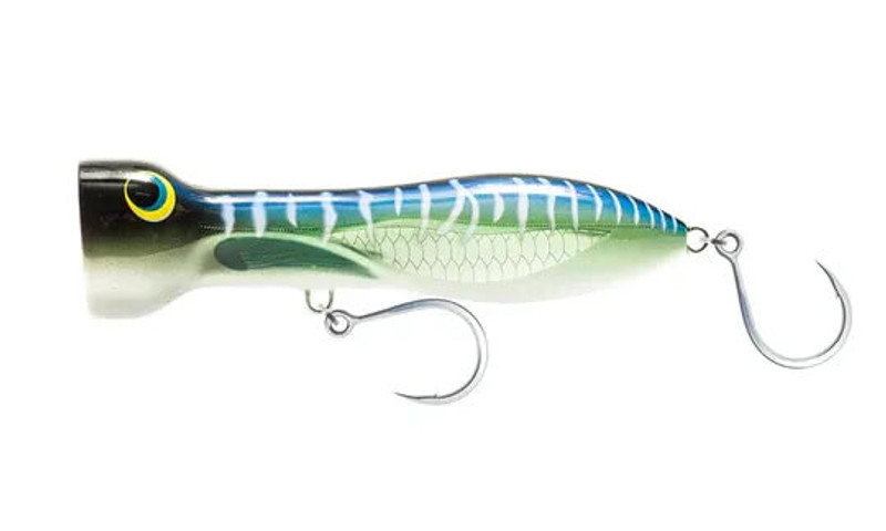SPANISH MACKEREL
