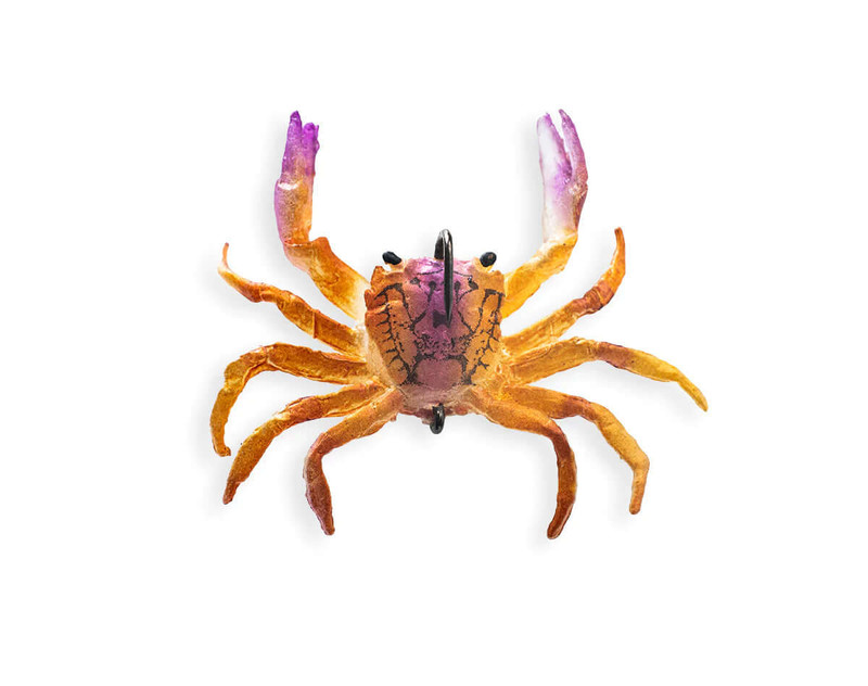PURPLE FIDDLER